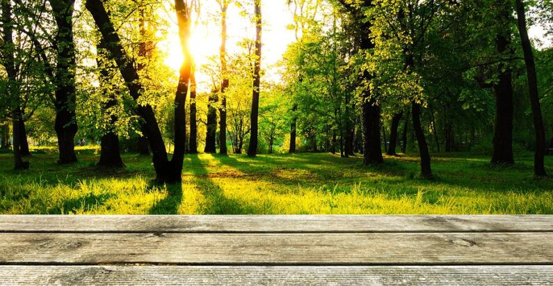 Jakie są popularne odmiany nawozów do ogrodu