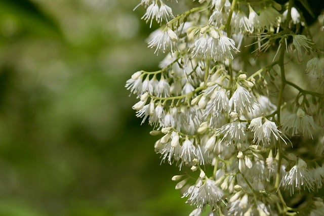 W jaki sposób projektuje się obecnie ciekawe ogrody